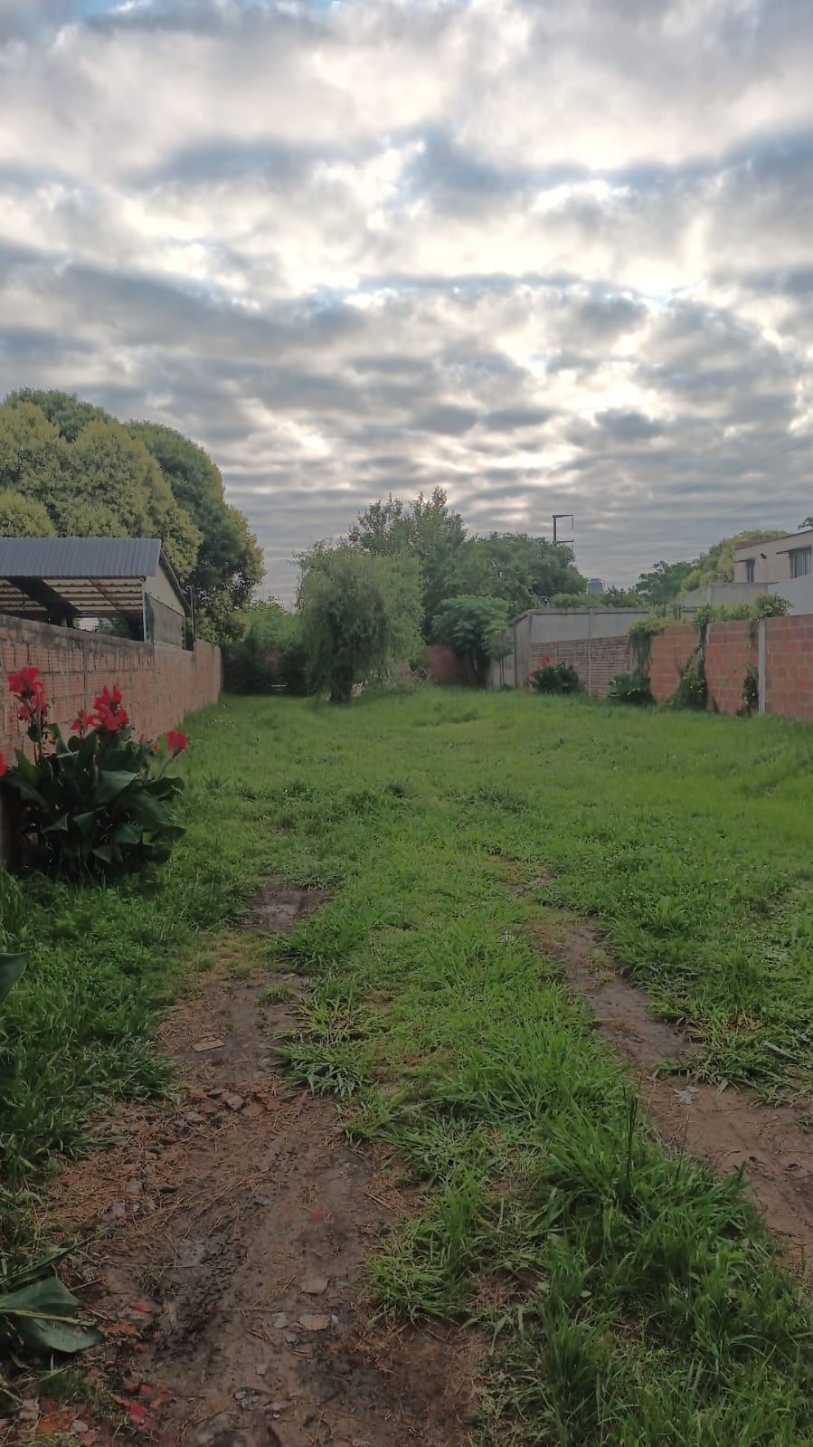 LOTE CAÑUELAS/LOS AROMOS