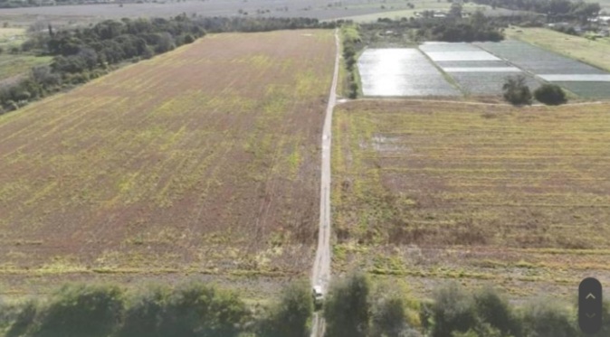 Campo en Berazategui 31,5 has