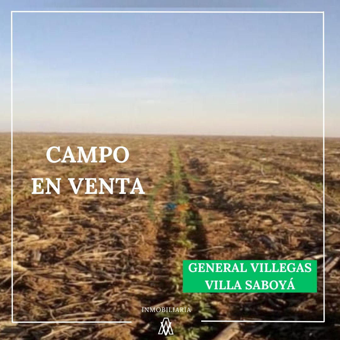 Campo en General Villegas 763 has