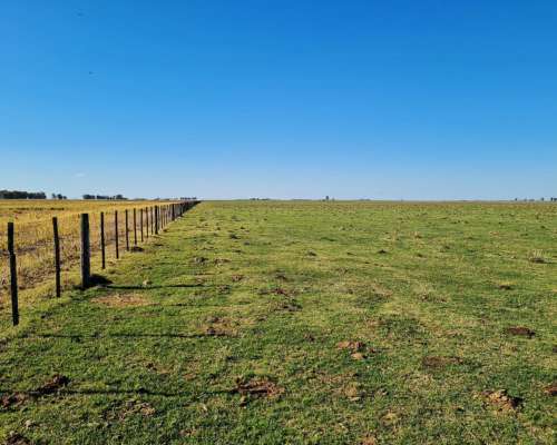 CAMPO GENERAL RODRIGUEZ