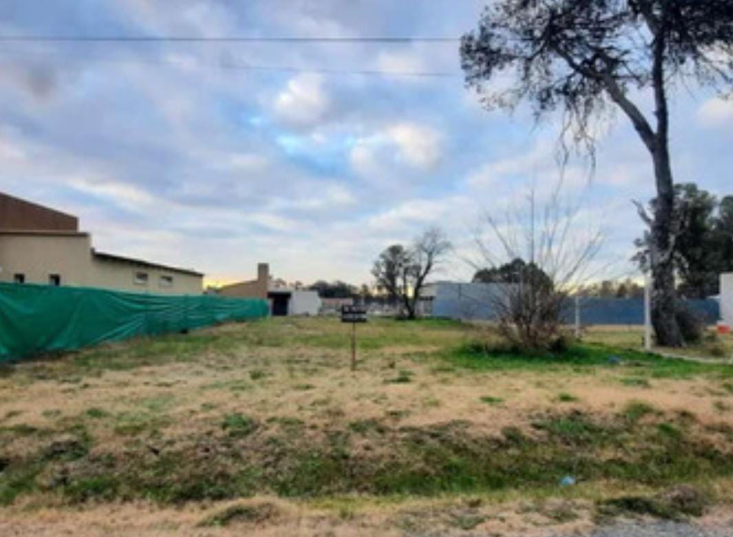 LOTE EN ALEJANDRO PETIÓN