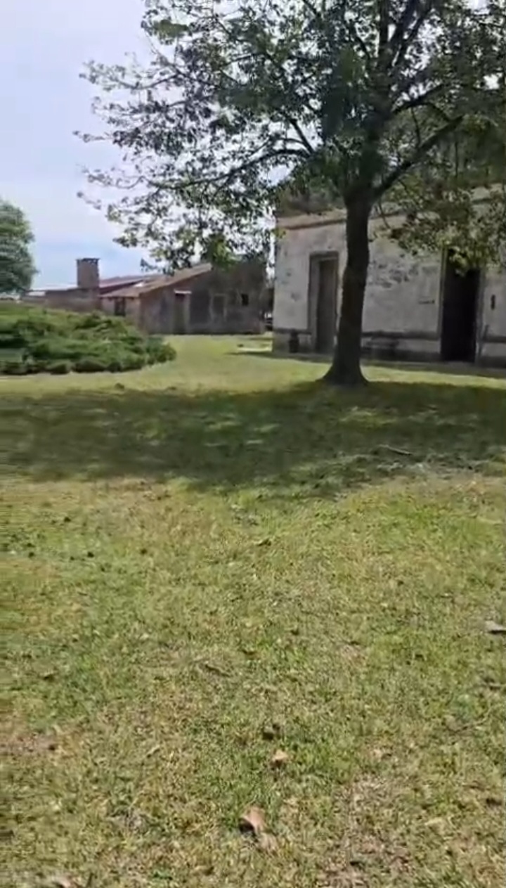 Campo en San Vicente 105 has