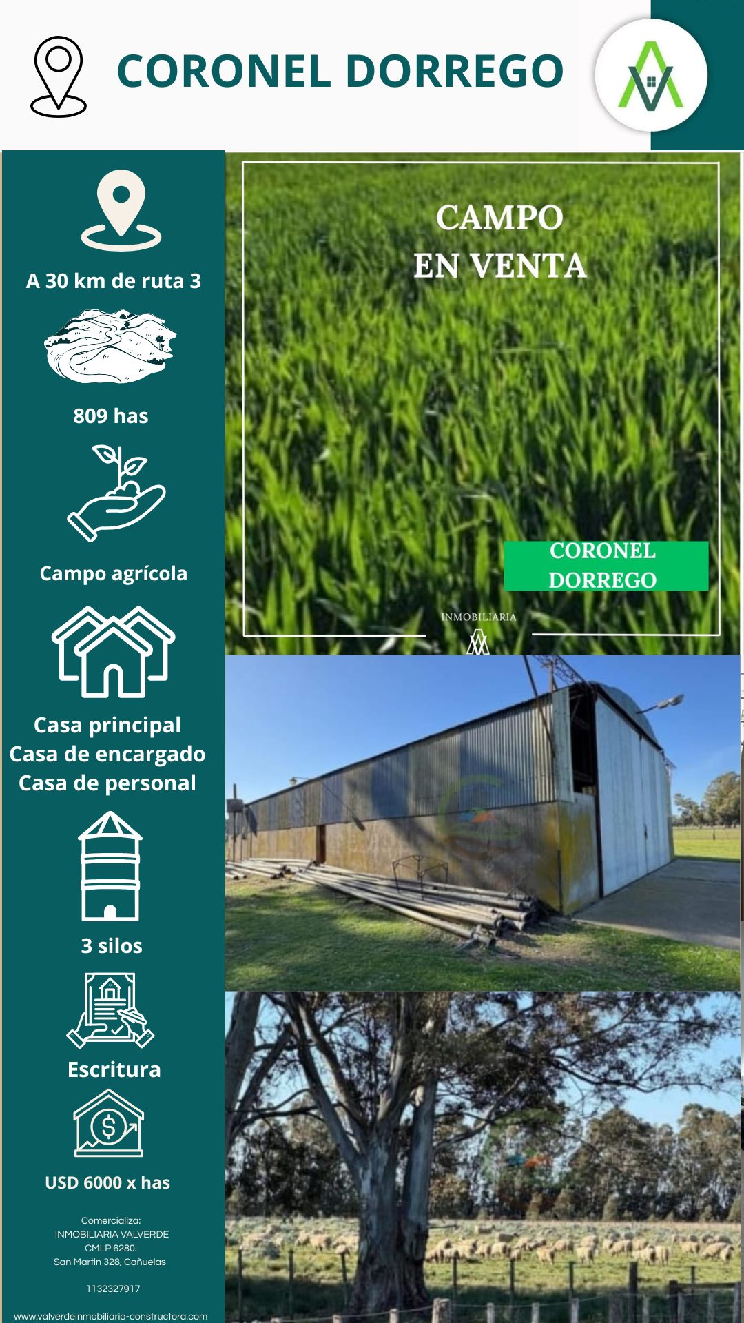 Campo en Coronel Dorrego 809 has