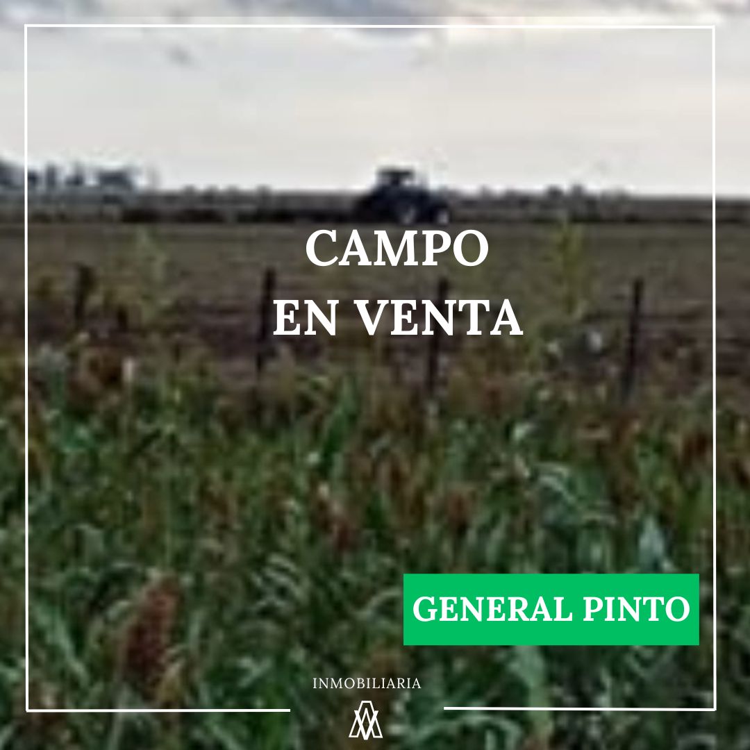 Campo en General Pinto 1012 has