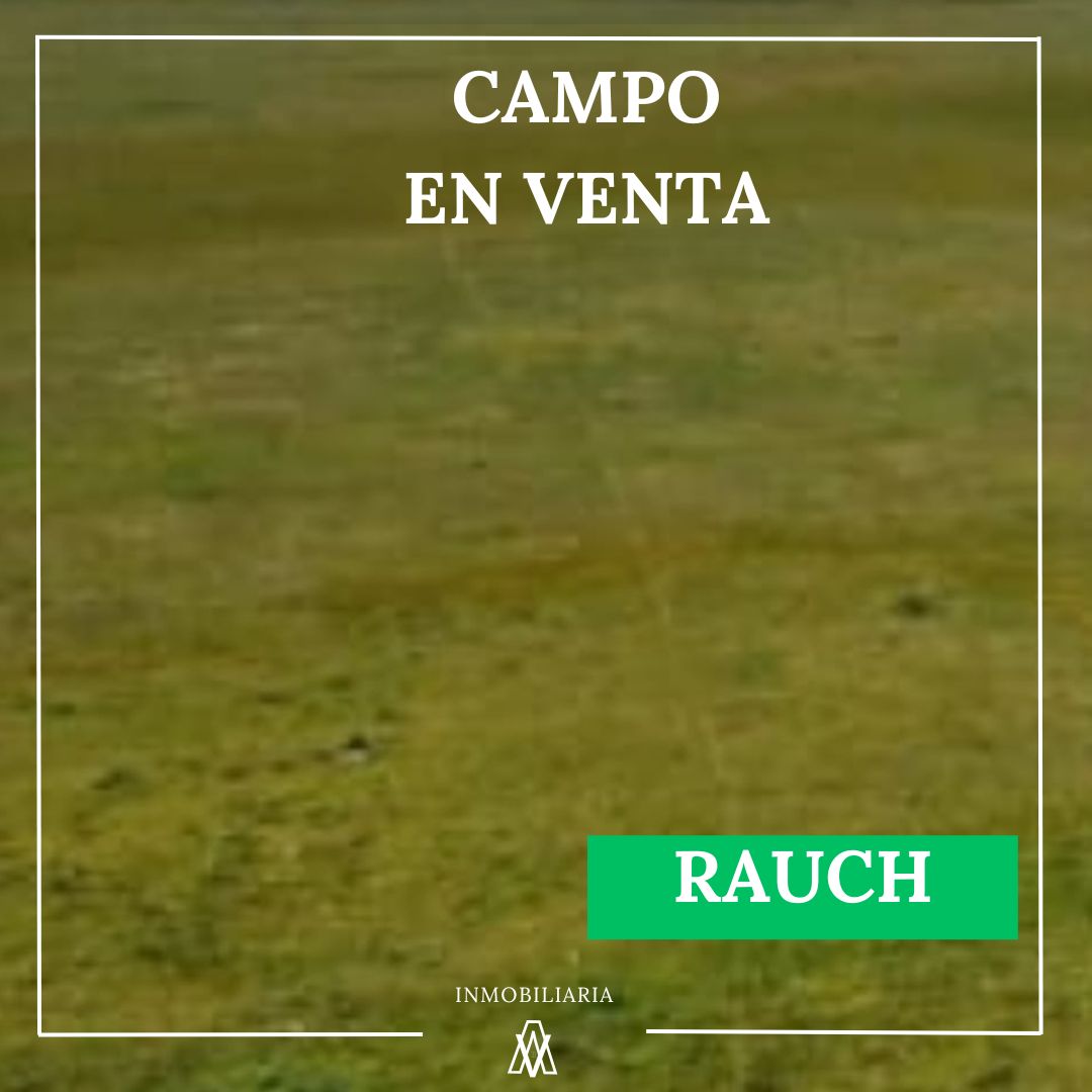 Campo en Rauch 227 has