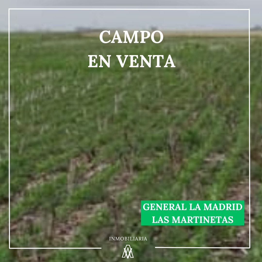 Campo en General La Madrid 1027 has