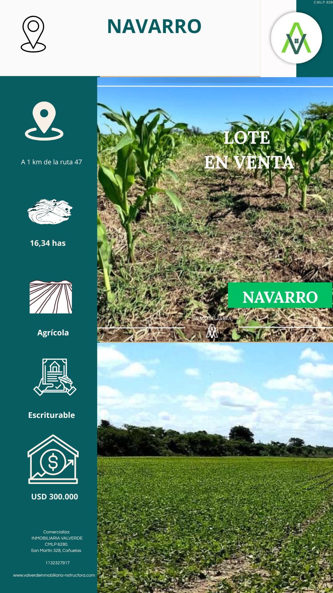 CAMPO NAVARRO