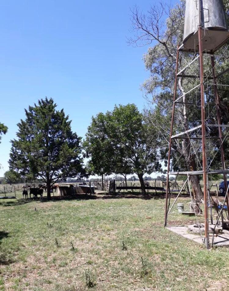 CAMPO EN GENERAL RODRIGUEZ