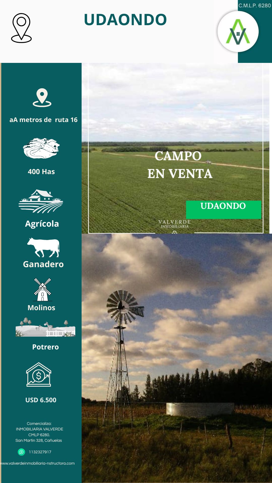 CAMPO EN UDAONDO