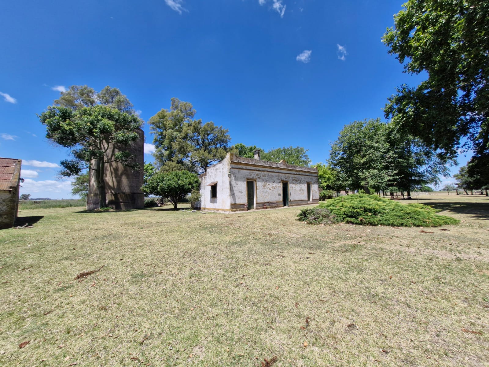 CAMPO EN SAN VICENTE