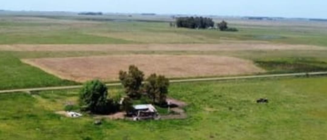 Campo en Rauch 227 has