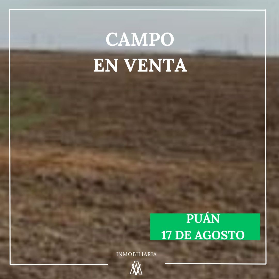 Campo en puán 1240 has