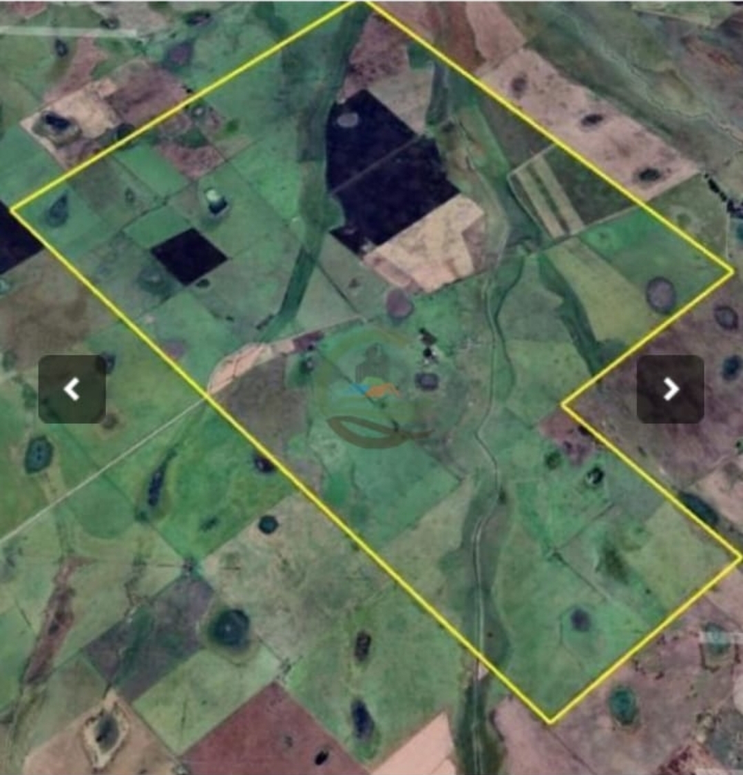 Campo en Olavarria 1437 has