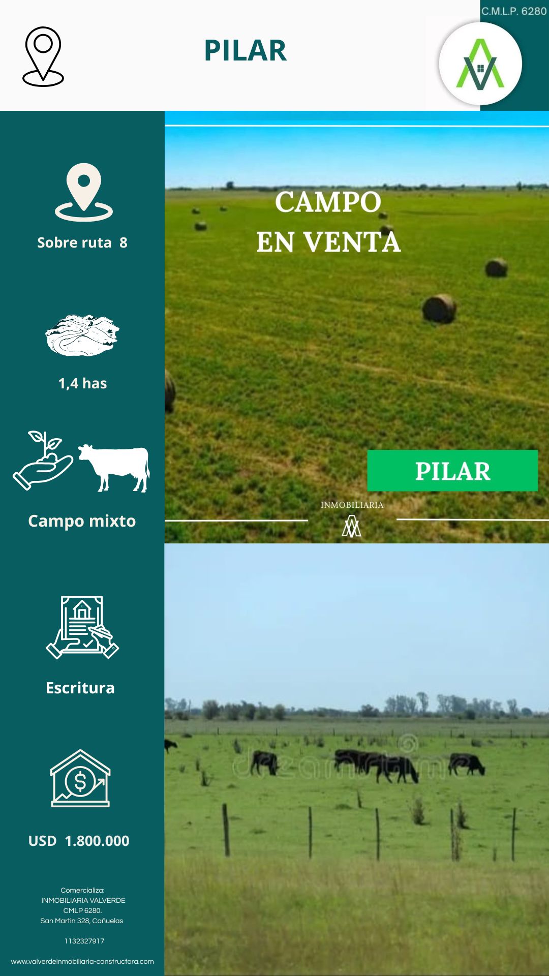 CAMPO EN PILAR 1,4 HAS