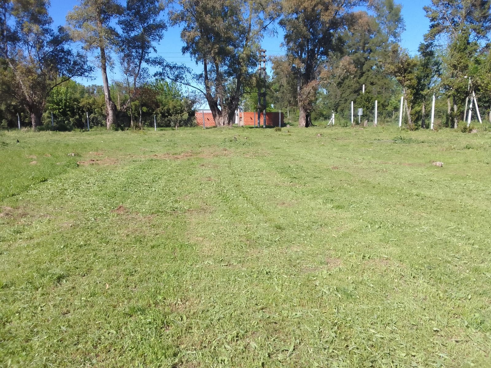 CAMPO MARIANO ACOSTA/BRISAS DE RÍO ALEGRE