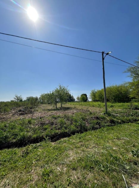 LOTE CAÑUELAS/LAS GARDENIAS