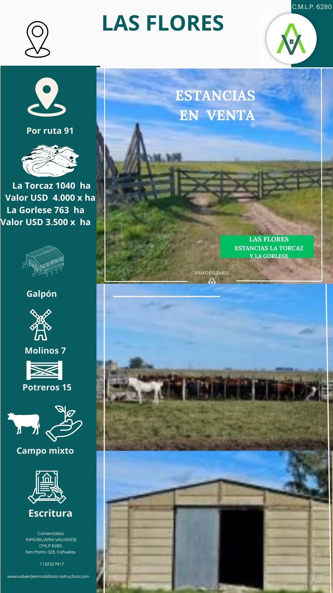 ESTANCIAS LA TORCAZ Y LA GORLESE