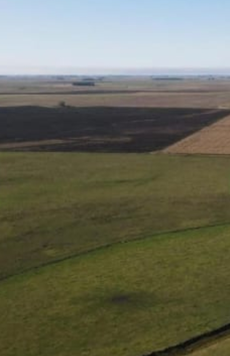 Campo en Olavarria 1437 has