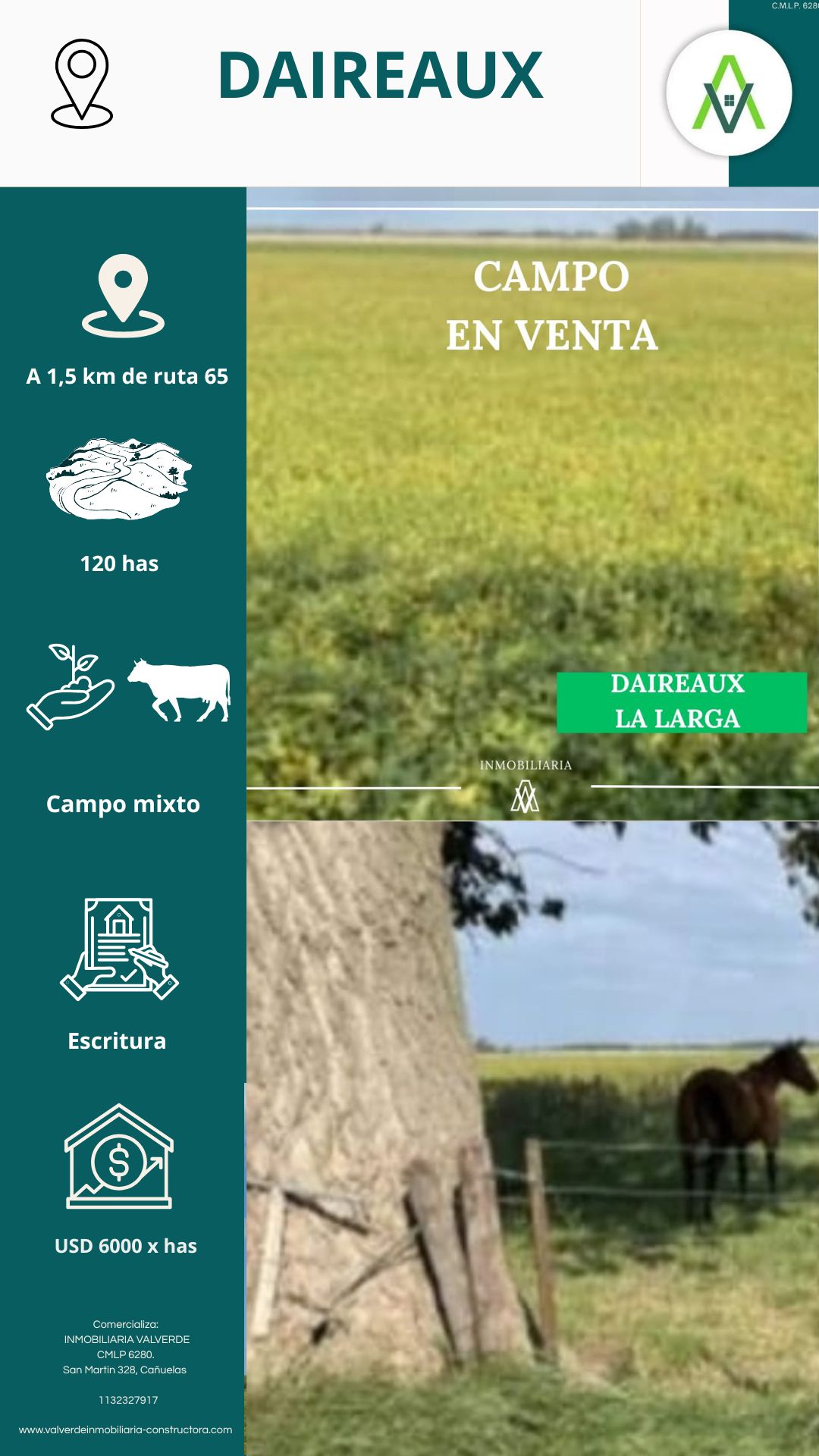 Campo en Daireaux 120 has