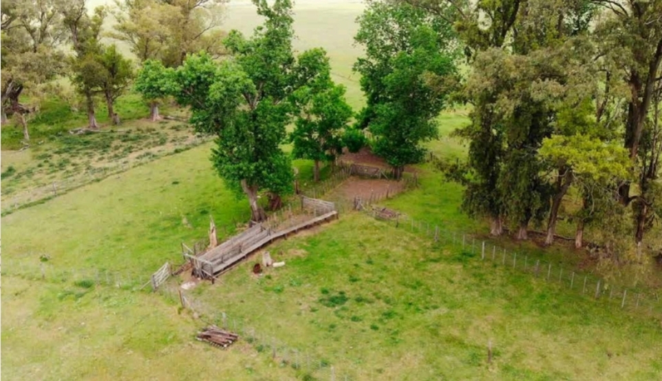 Campo en Las Flores 265 has