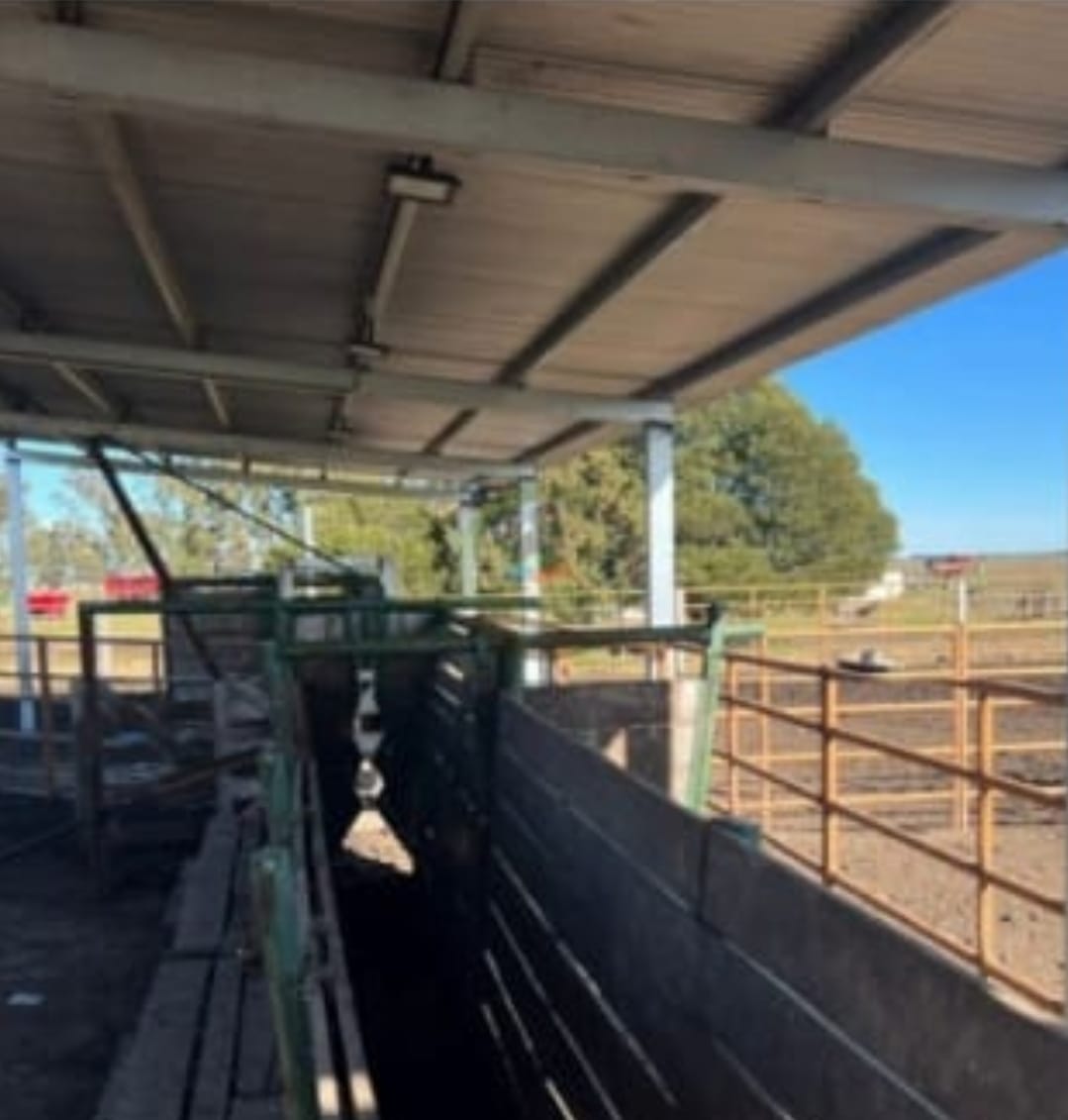 Campo en Tres Arroyos 1003 has