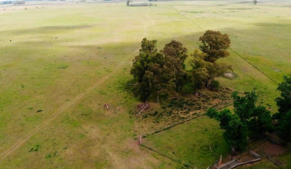 Campo en Las Flores 265 has