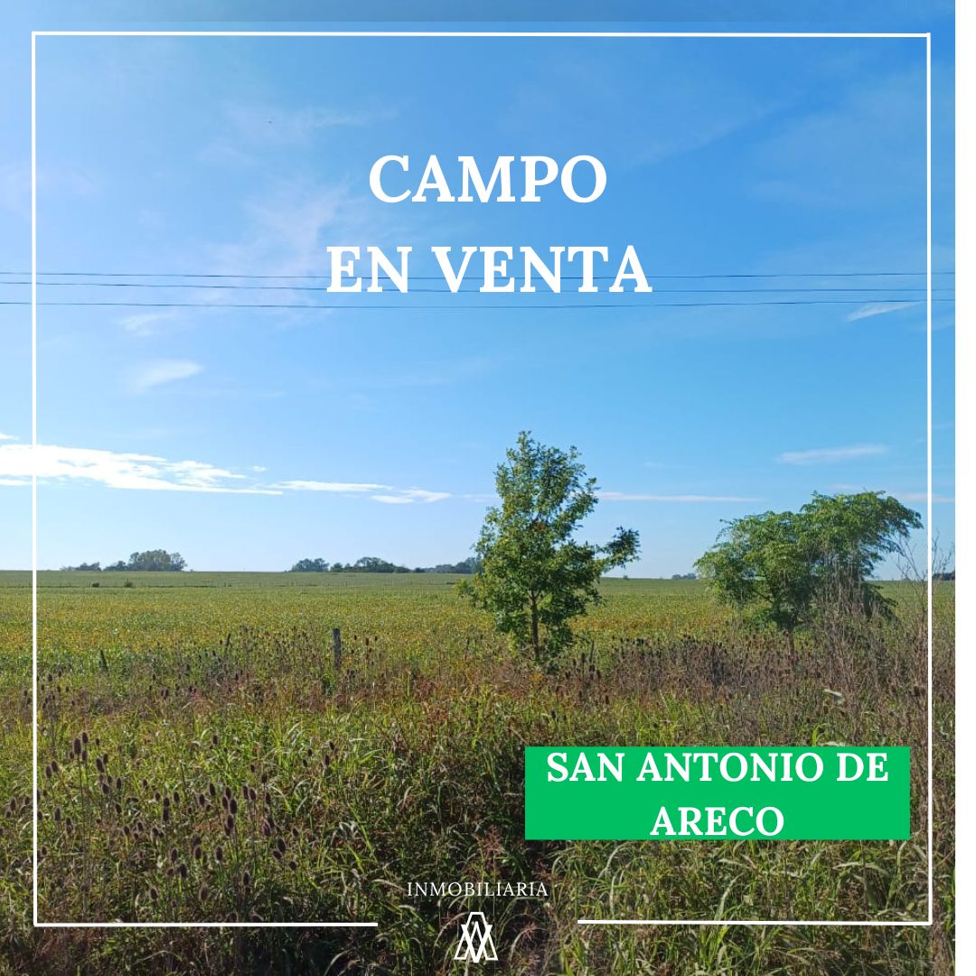 Campo en San Antonio De Areco 35 has