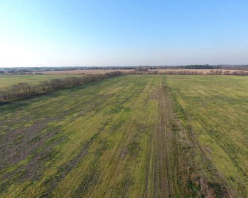 CAMPO EN CARLOS KEEN