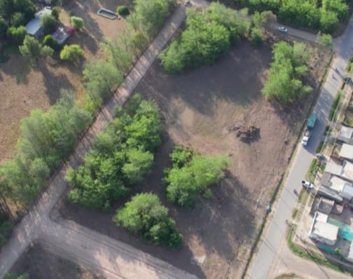 LOTE CAÑUELAS/LA ESTACIÓN