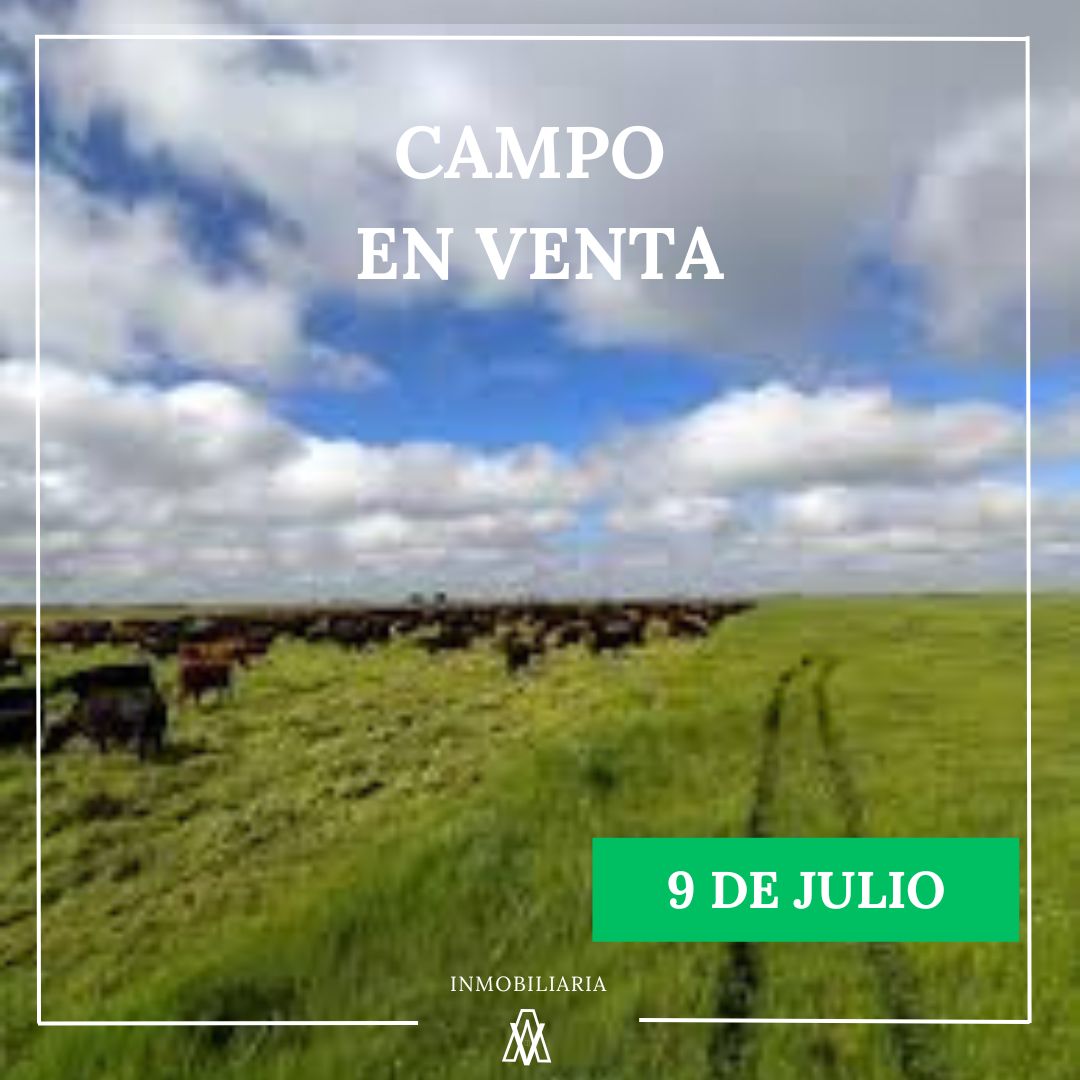 Campo de 880 has en 9 De Julio