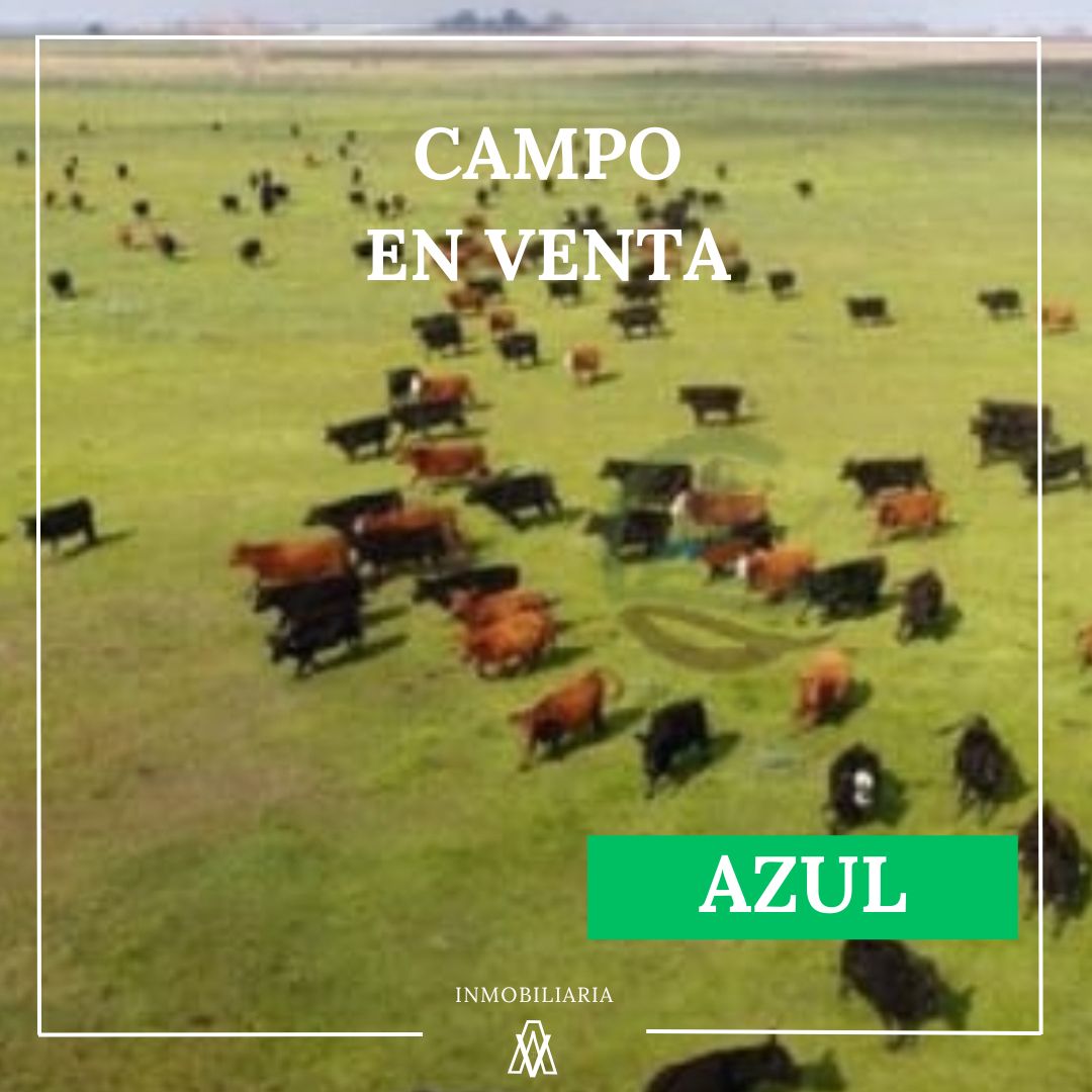 Campo en Azul 809 has
