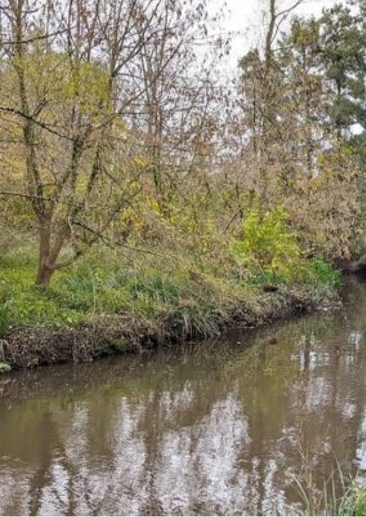 EMPRESARIAL TURISTICO EN TIGRE