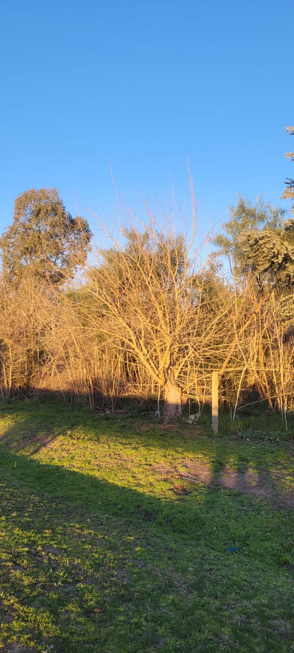 Fracción/Parcela en Santa Anita-Cañuelas