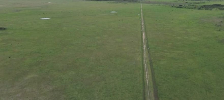 Campo en San Vicente 392 has