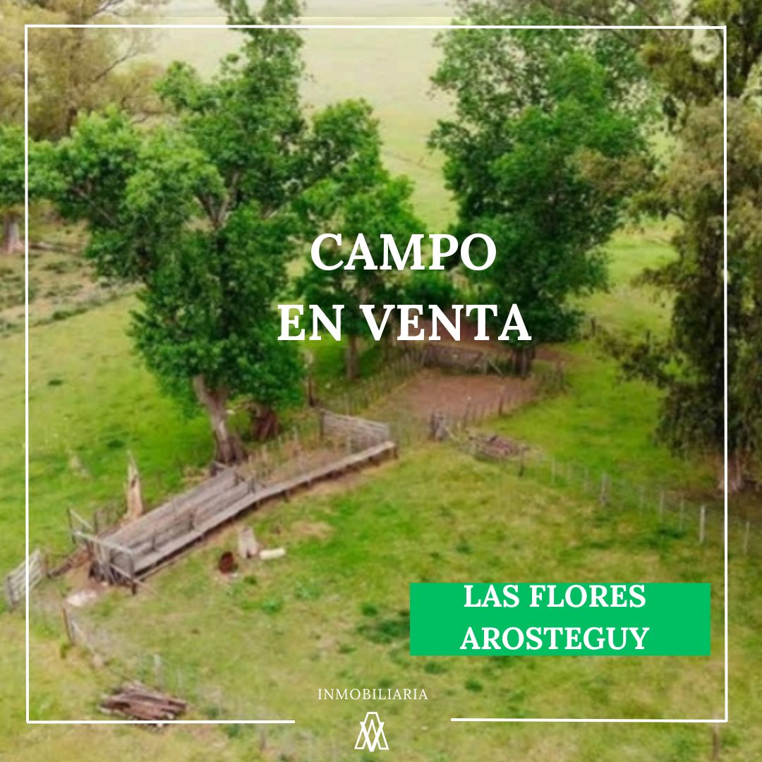 Campo en Las Flores 265 has