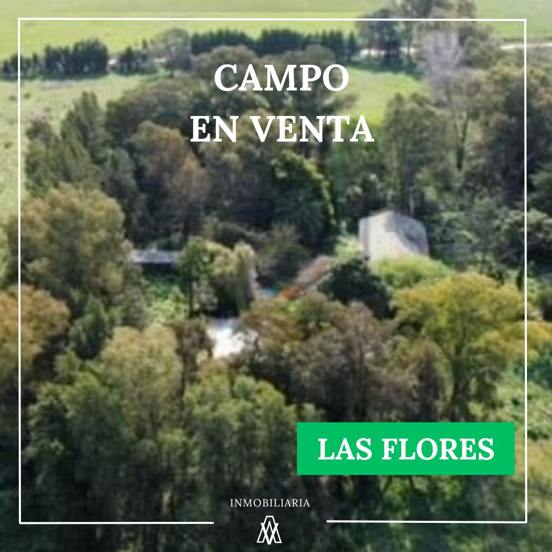 Campo en las flores 422 has