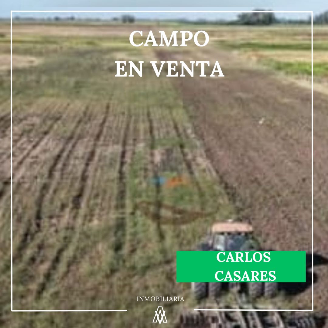 Campo en Carlos Casares 186 has