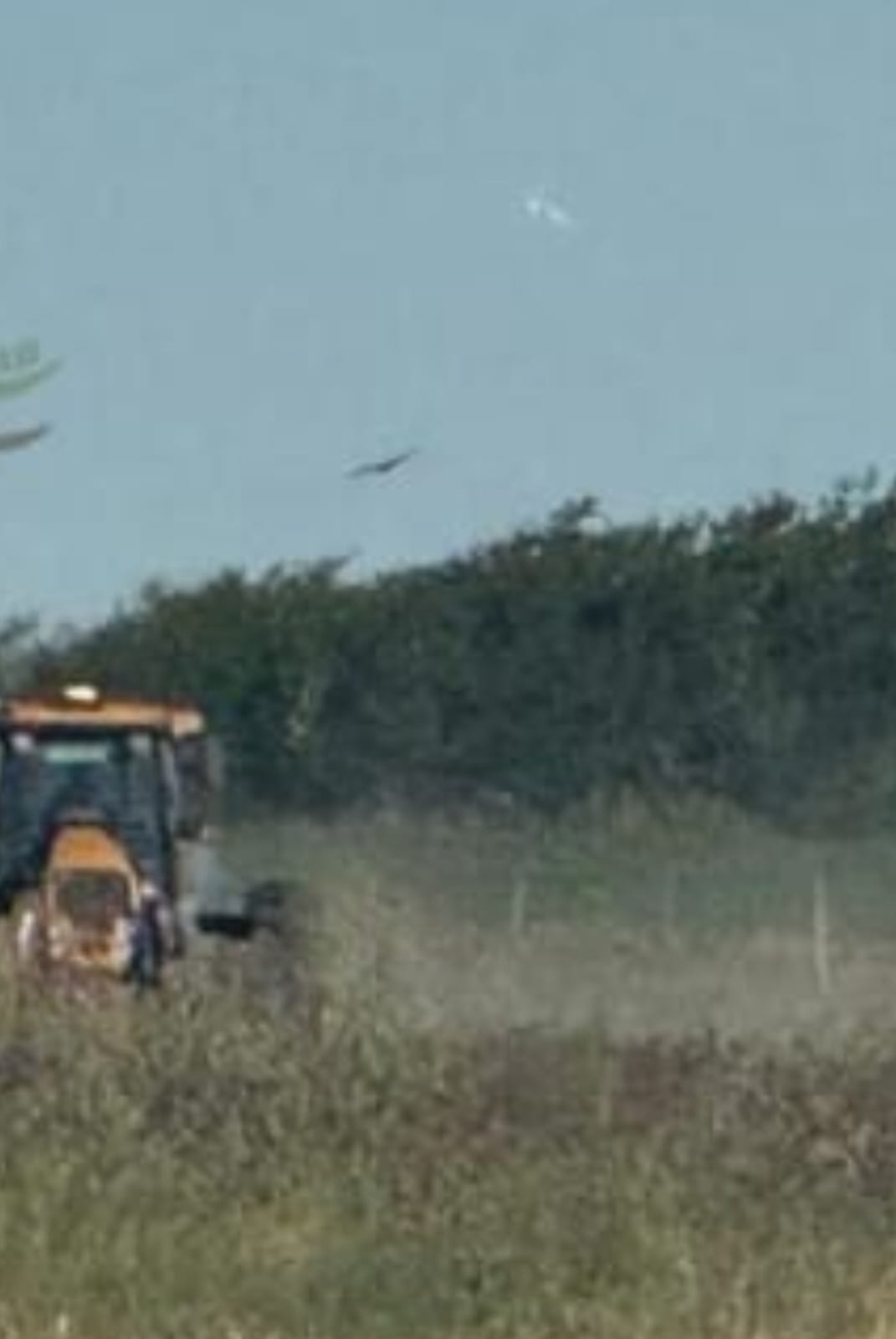 Campo en Carlos Casares 186 has