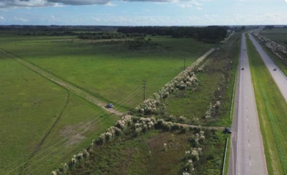 Campo en San Vicente 392 has