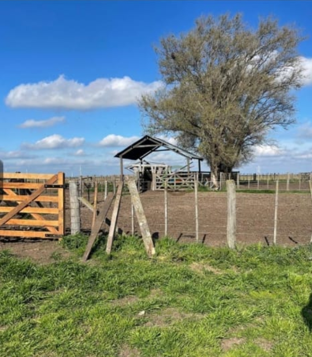 Campo en Olavarria 1361 has