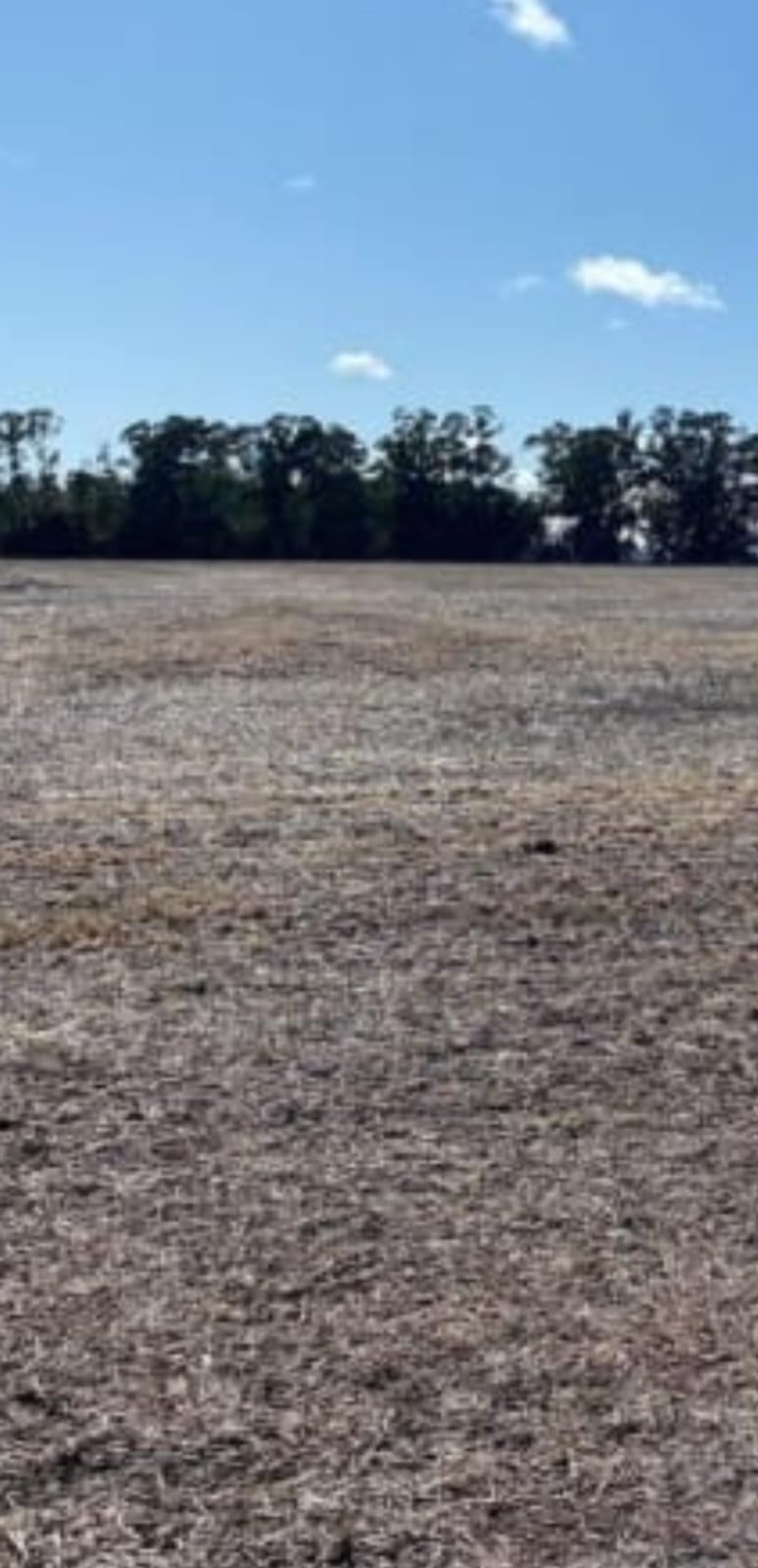 Campo en Tandil 431 has