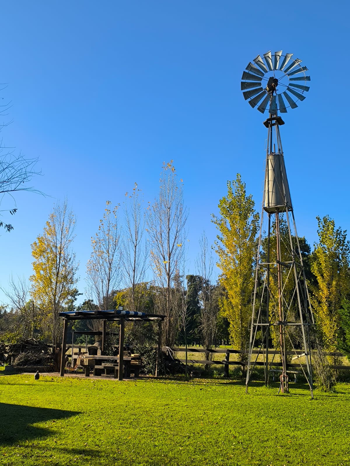 Campo en Luján 19,4 has