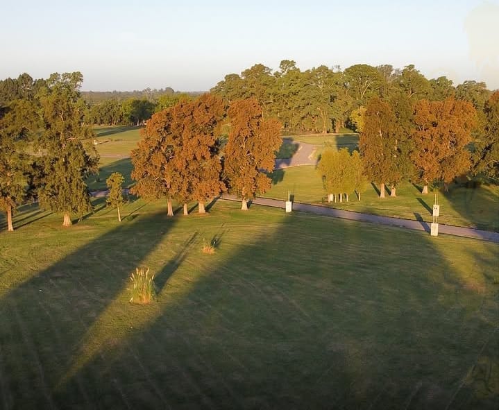 LOTE EN ALEJANDRO PETIÓN