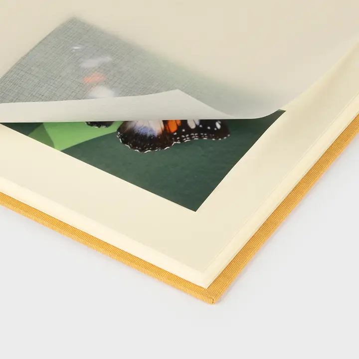 Album photo vertical intérieur en ivoire