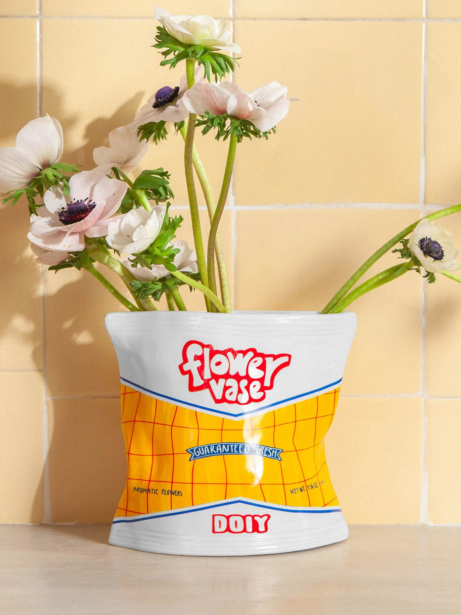VASE CHIPS BAG