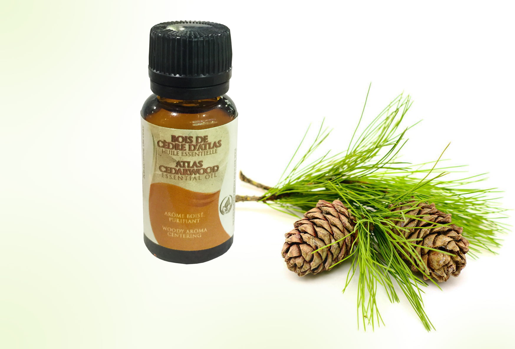 Huile Essentielle Bois de Cedre d'Atlas 10ml