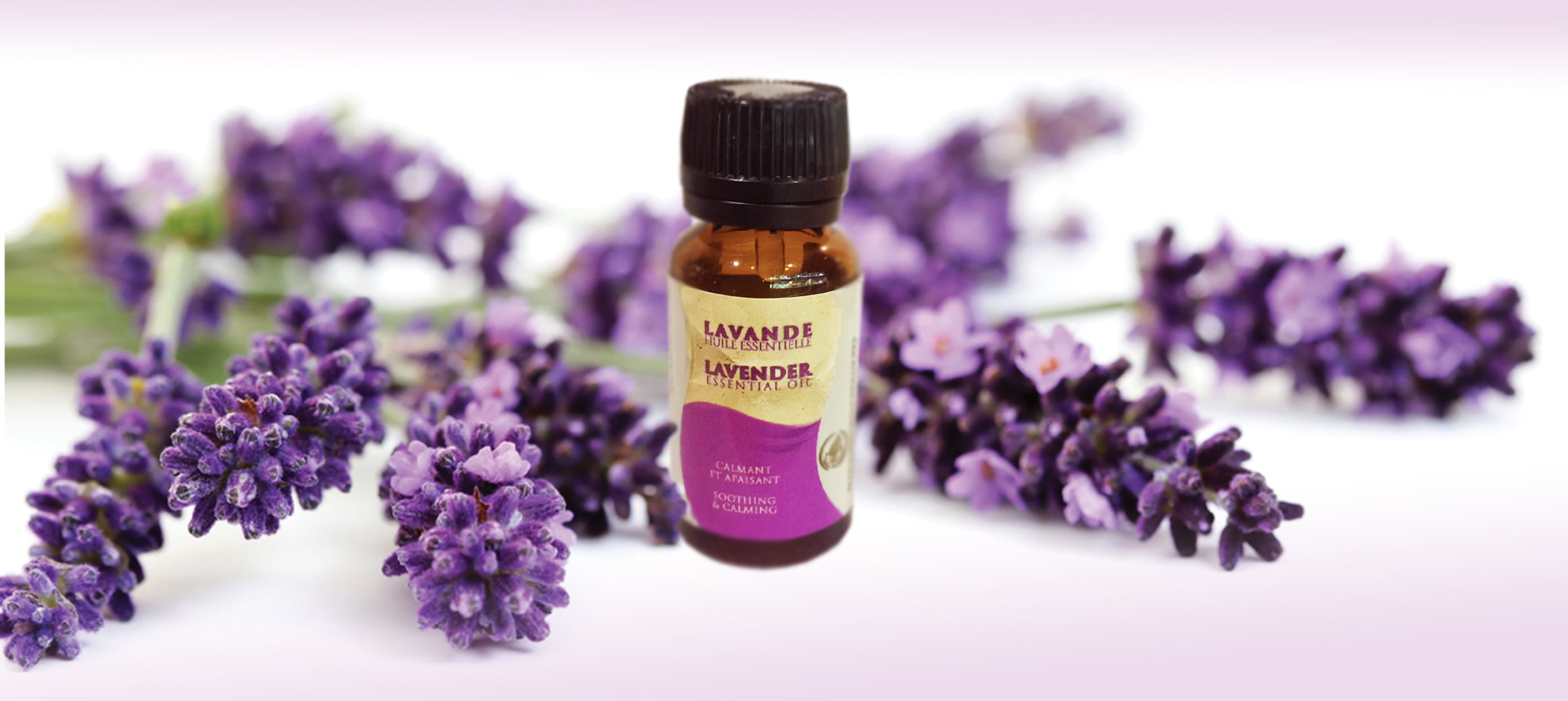 Huile Essentielle de Lavande 10ml