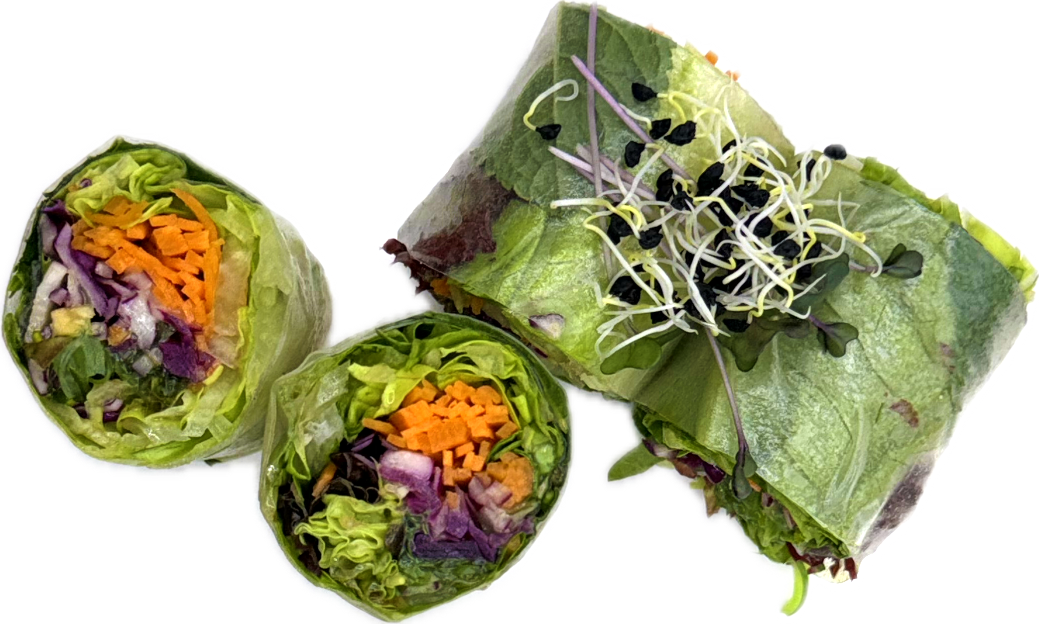 ROULEAUX DE PRINTEMPS (6pcs)