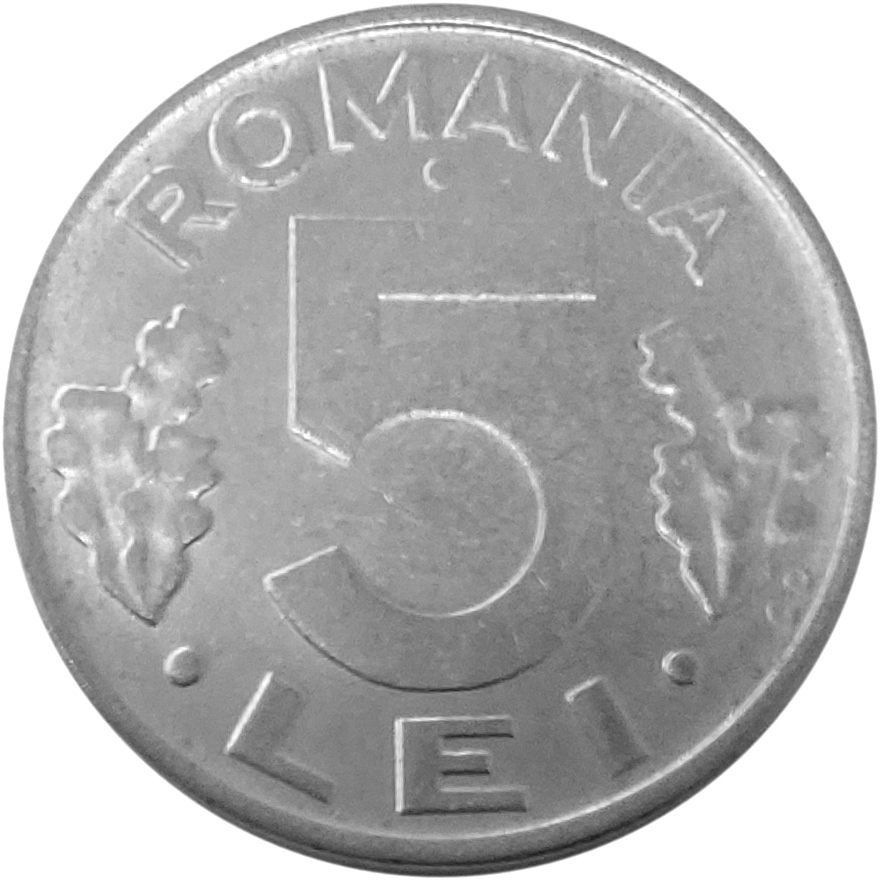 5000 Lei