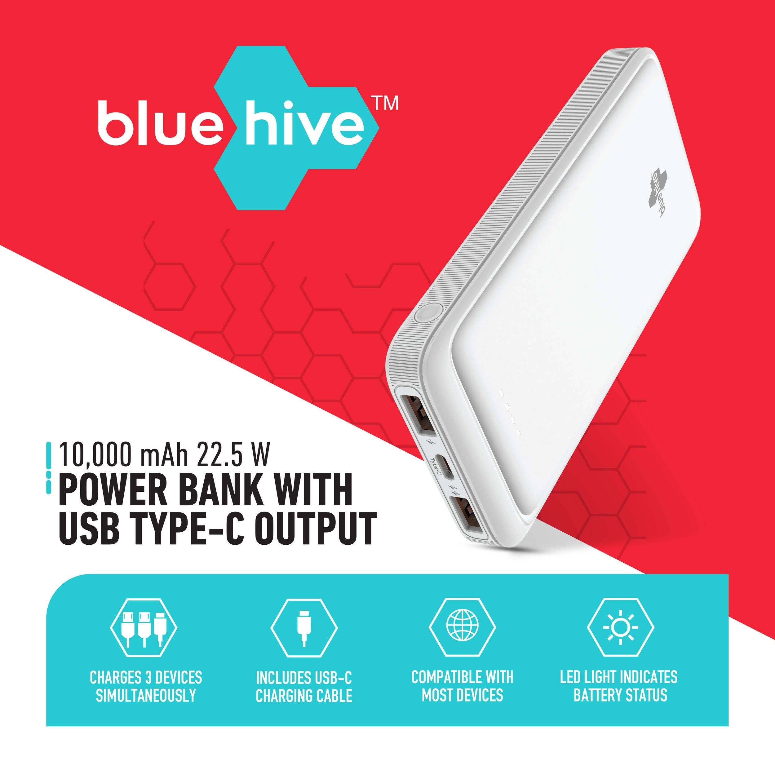 Bluehive 2-Port 10,000 mAh 20W Portable Power Bank with Quick Charge & Battery Indicator, Compatible with Most Devices, White